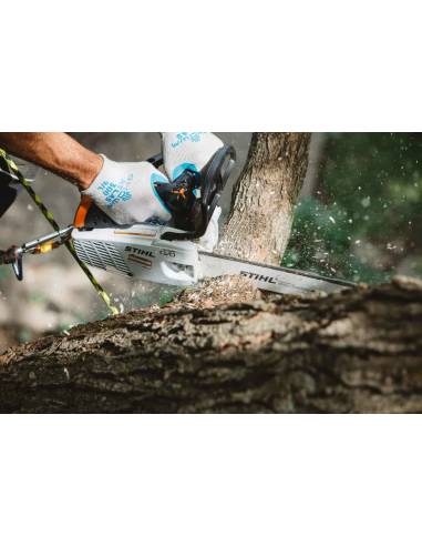 Motosierra STIHL MS 194 T