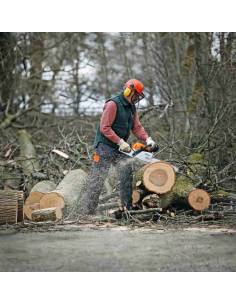 Motosierra STIHL MS 271 - AGROSARMIENTO 2