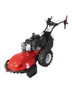 Desbrozadora de ruedas Honda UM 660 - AGROSARMIENTO 2