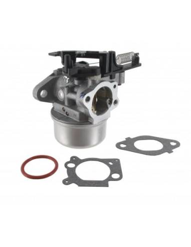 Carburador completo 799226 para motor Briggs & Stratton