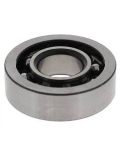 Rodamiento ranurado de bolas 60002 - DDU