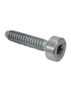 Tornillo cilíndrico IS-D5x24 STIHL 90754784159