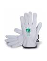 Guantes Anticorte